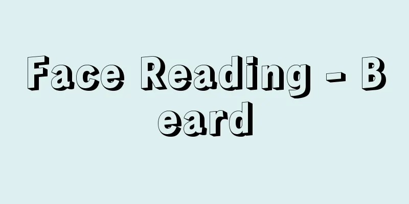 Face Reading - Beard