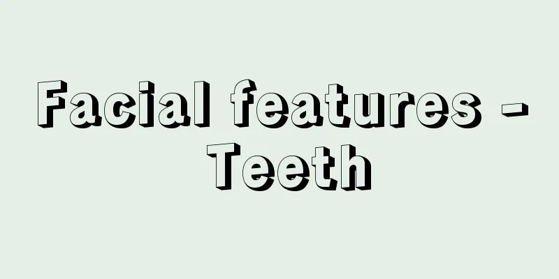 Facial features - Teeth