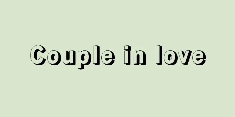 Couple in love