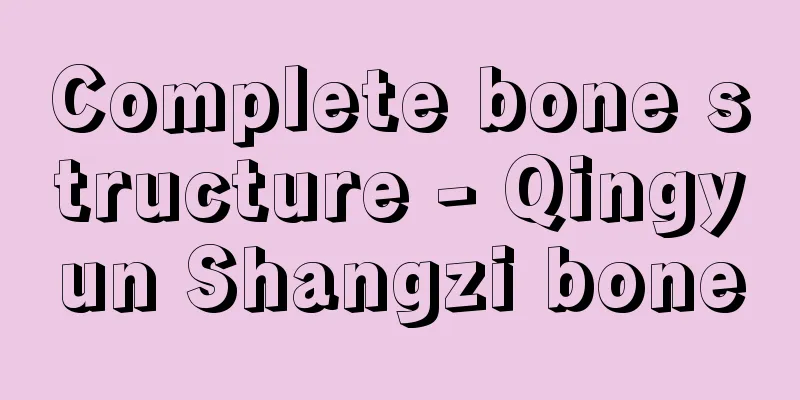 Complete bone structure - Qingyun Shangzi bone