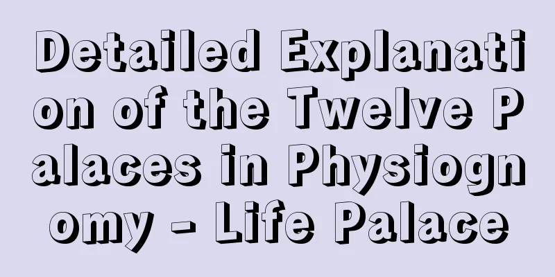 Detailed Explanation of the Twelve Palaces in Physiognomy - Life Palace