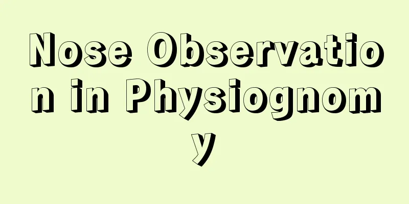 Nose Observation in Physiognomy