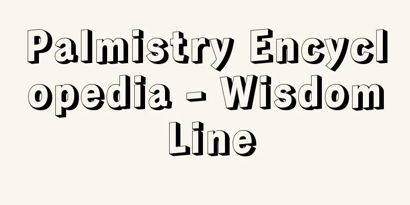 Palmistry Encyclopedia - Wisdom Line