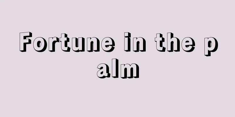 Fortune in the palm