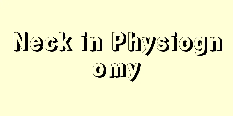 Neck in Physiognomy