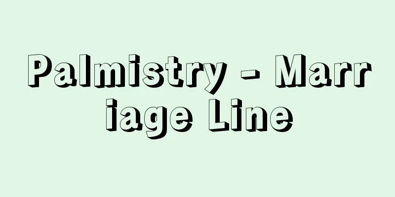 Palmistry - Marriage Line