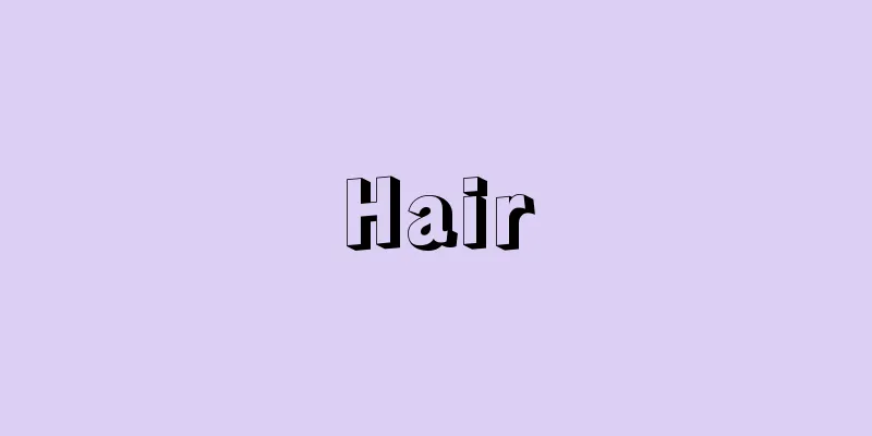 Hair