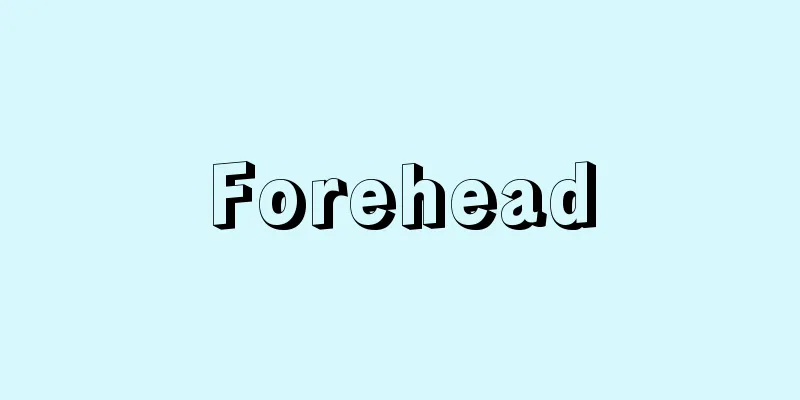 Forehead