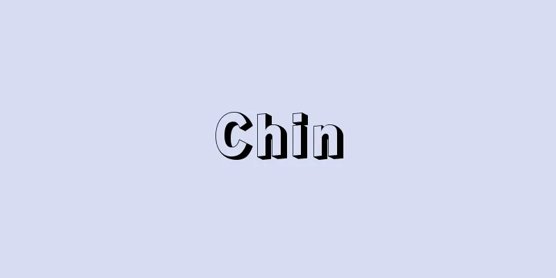 Chin