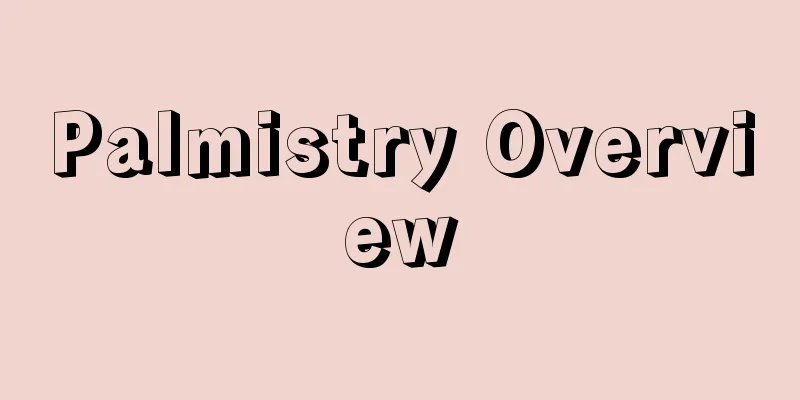 Palmistry Overview