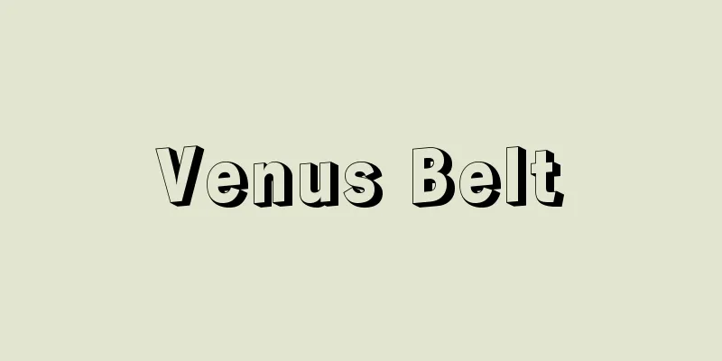 Venus Belt