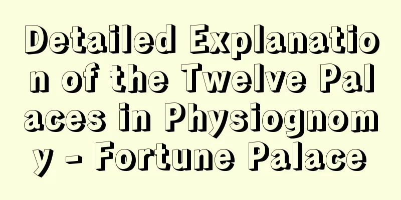 Detailed Explanation of the Twelve Palaces in Physiognomy - Fortune Palace