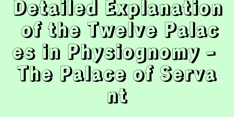 Detailed Explanation of the Twelve Palaces in Physiognomy - The Palace of Servant
