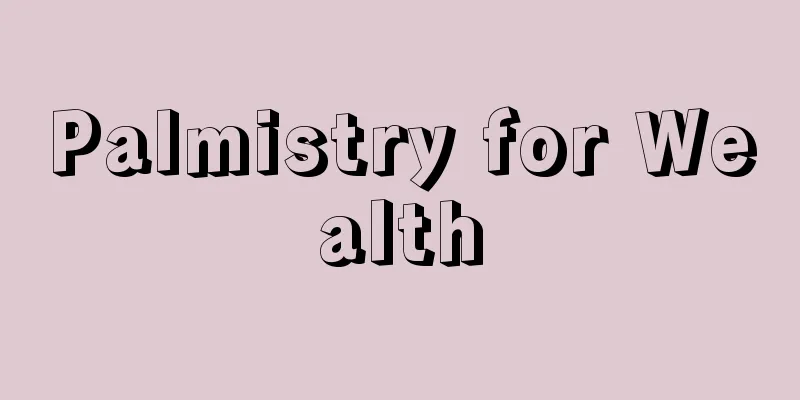 Palmistry for Wealth