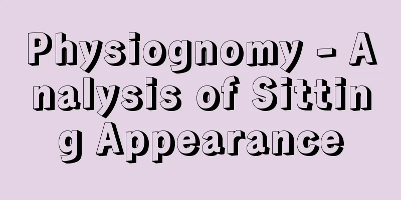 Physiognomy - Analysis of Sitting Appearance