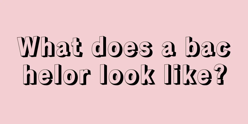 What does a bachelor look like?