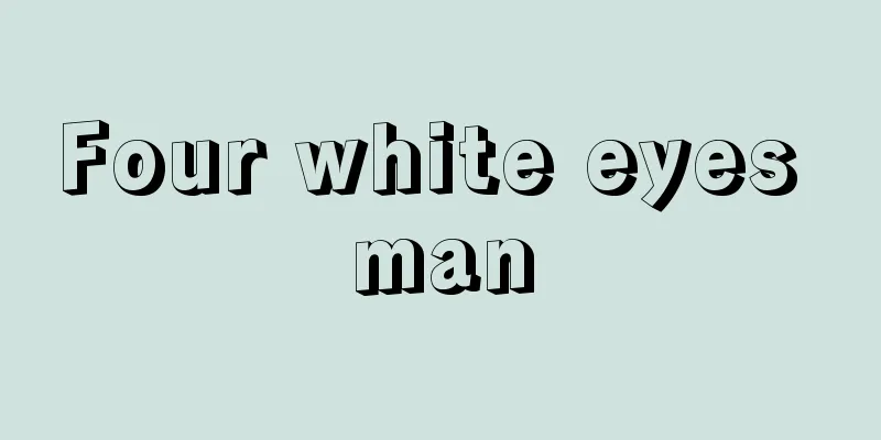 Four white eyes man