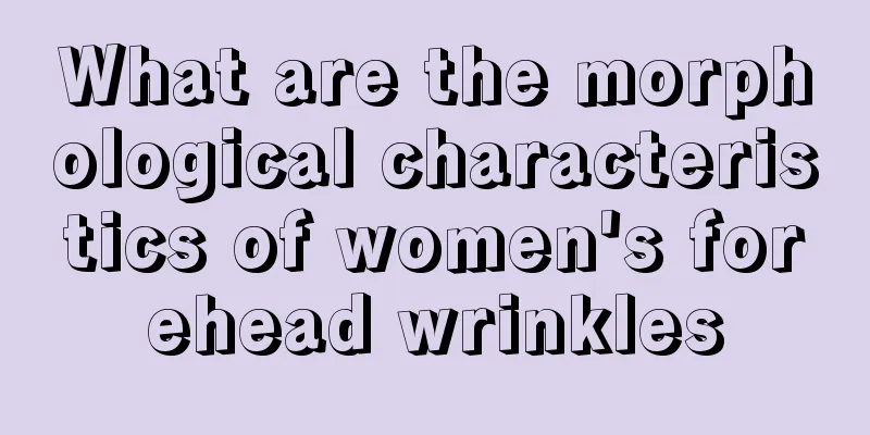 What are the morphological characteristics of women's forehead wrinkles