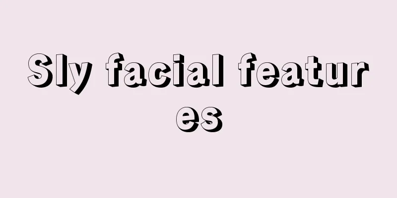Sly facial features