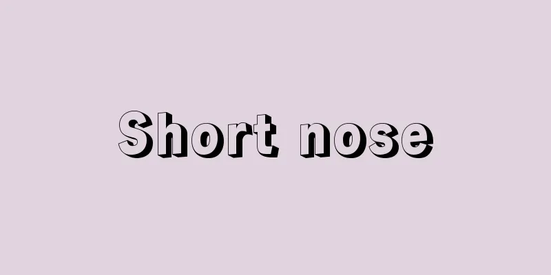 Short nose
