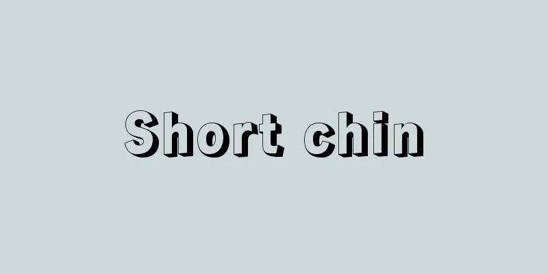 Short chin