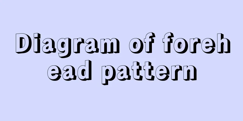 Diagram of forehead pattern