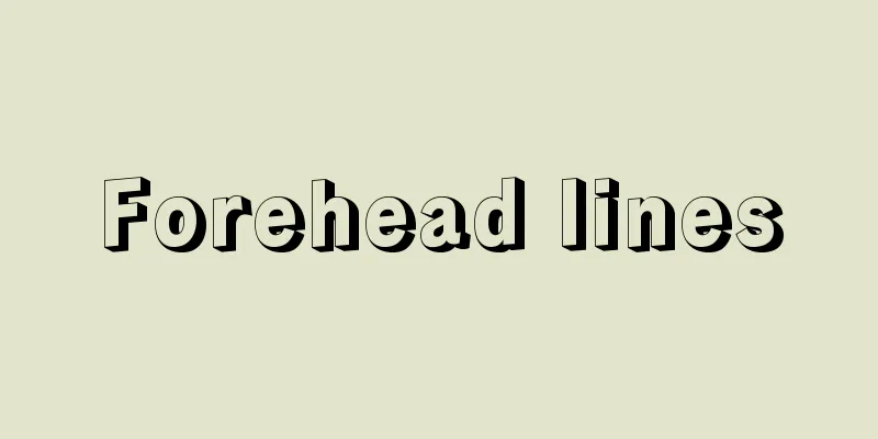 Forehead lines