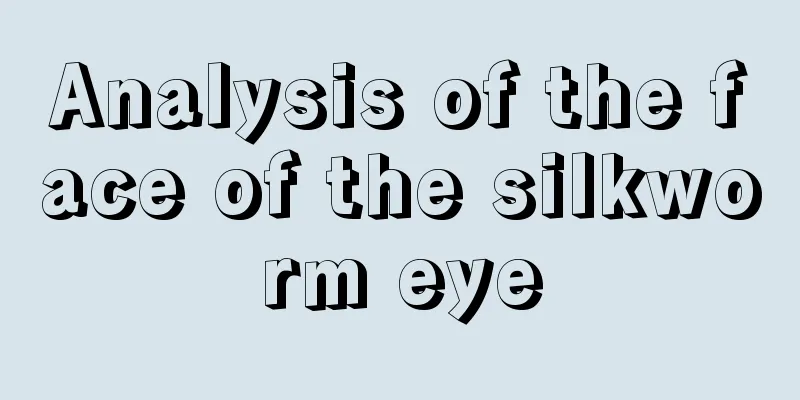 Analysis of the face of the silkworm eye