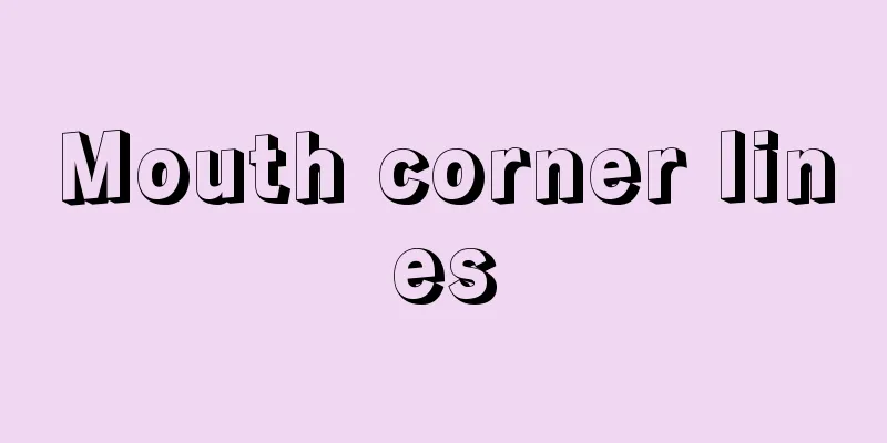 Mouth corner lines
