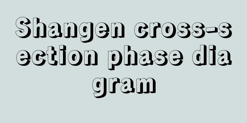 Shangen cross-section phase diagram