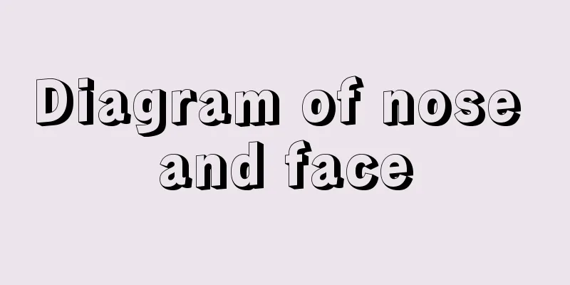 Diagram of nose and face