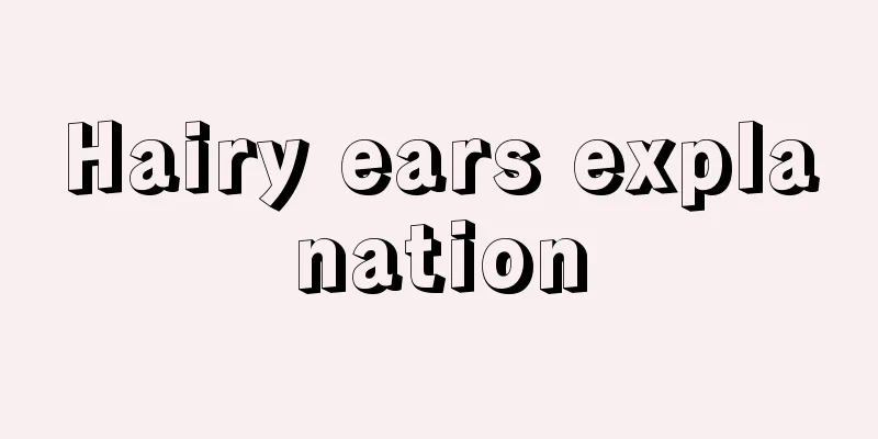 Hairy ears explanation
