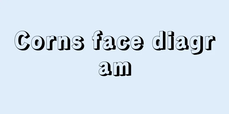 Corns face diagram