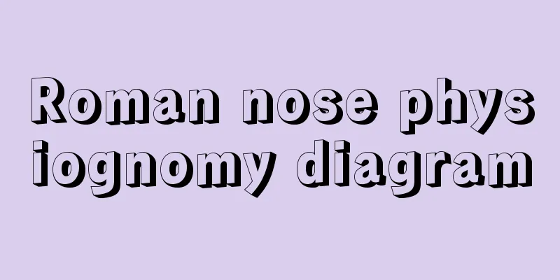 Roman nose physiognomy diagram