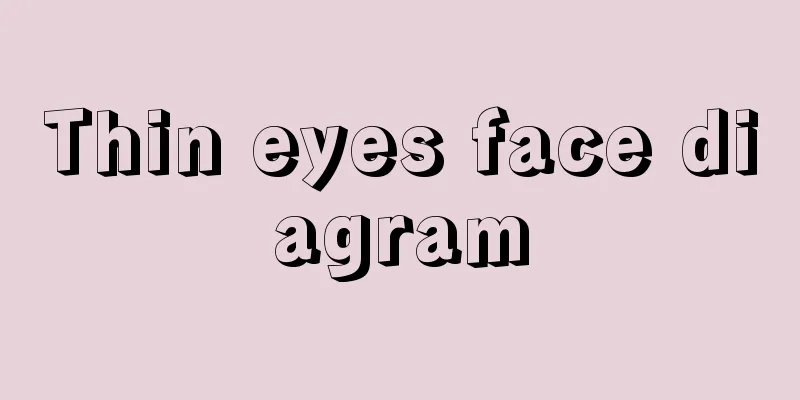 Thin eyes face diagram