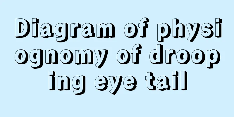 Diagram of physiognomy of drooping eye tail