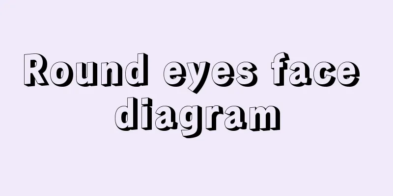 Round eyes face diagram