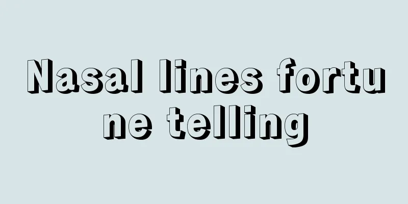 Nasal lines fortune telling