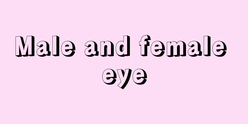 Male and female eye