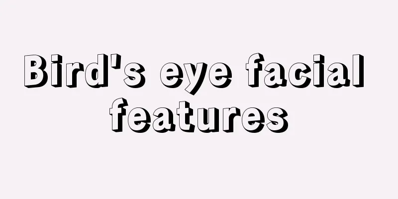 Bird's eye facial features