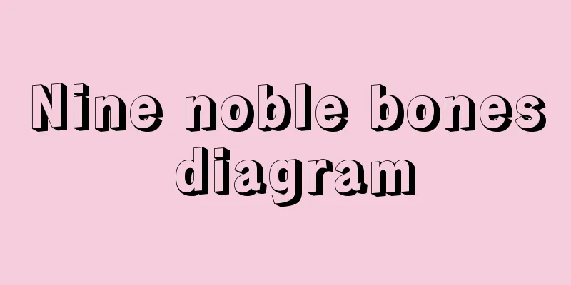 Nine noble bones diagram