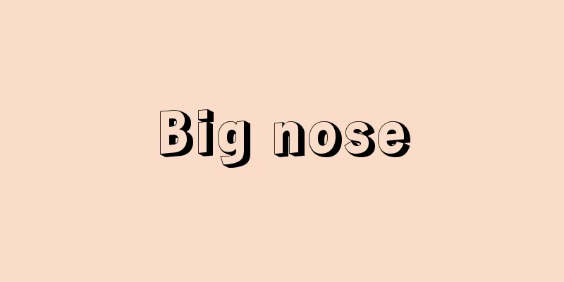 Big nose