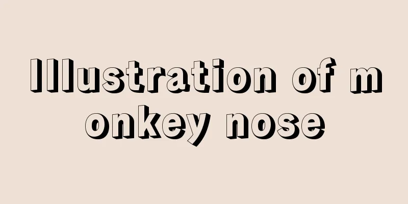 Illustration of monkey nose