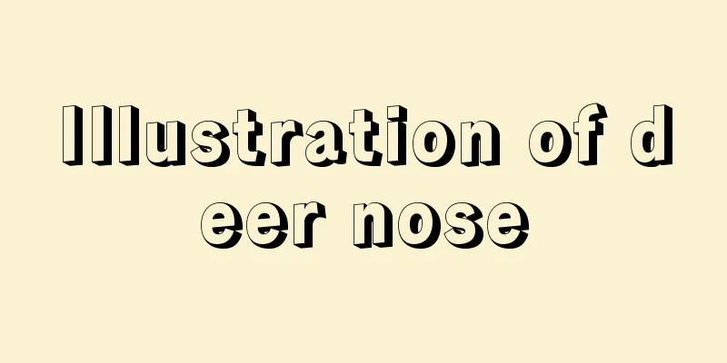 Illustration of deer nose