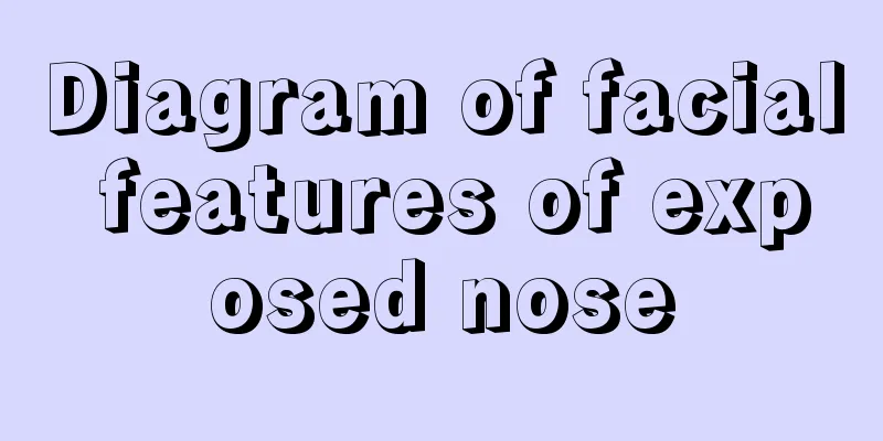 Diagram of facial features of exposed nose
