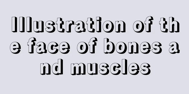 Illustration of the face of bones and muscles
