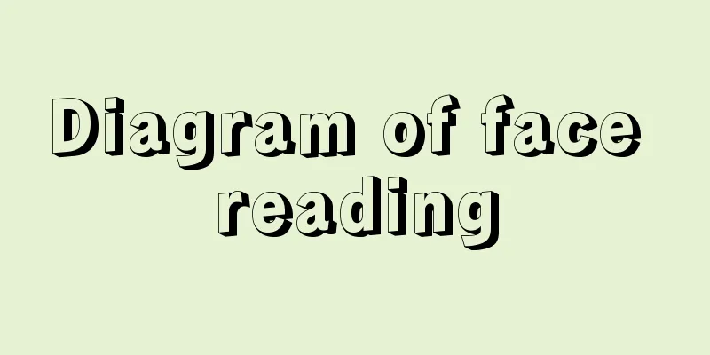 Diagram of face reading