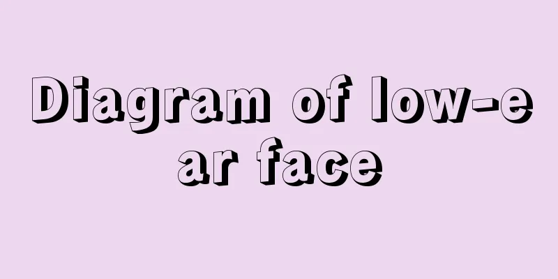 Diagram of low-ear face