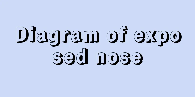 Diagram of exposed nose