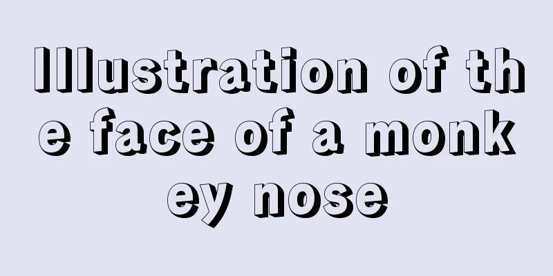 Illustration of the face of a monkey nose